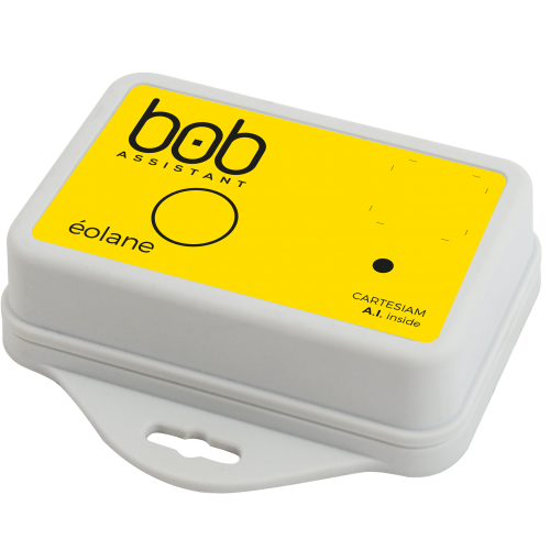 Bob Assistant