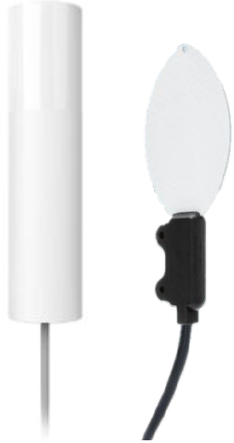 SLW10