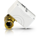 Strega valve